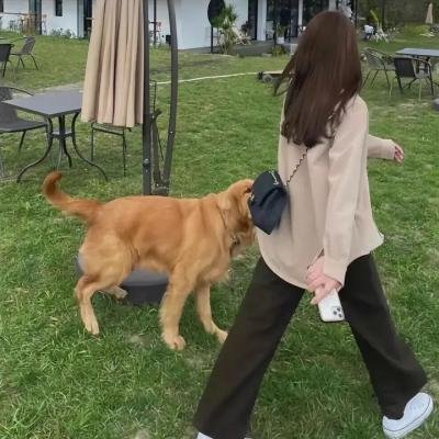 小可爱娜斯佳第七季