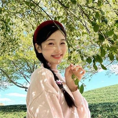 机甲界